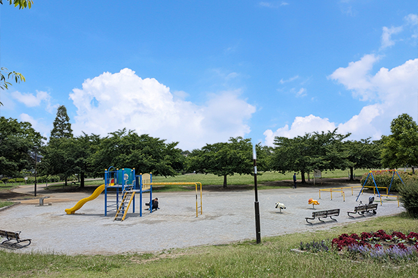 坪井近隣公園